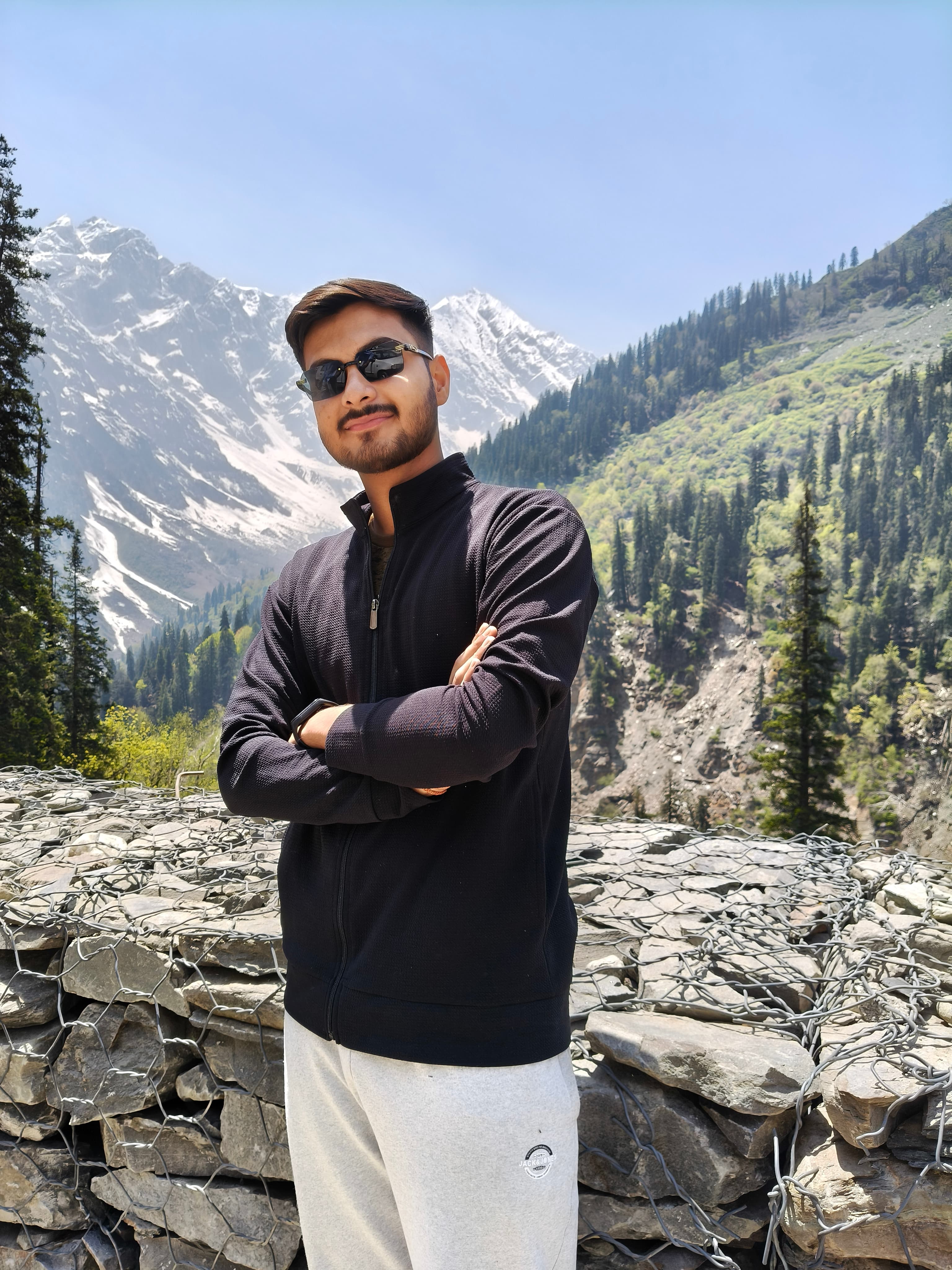 Amarnath Parasar